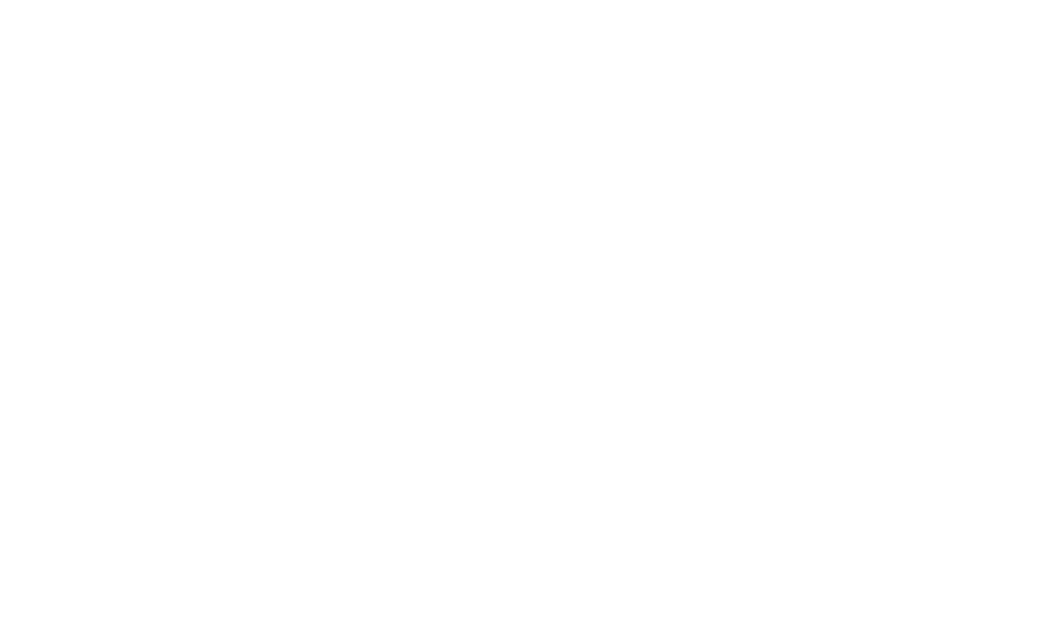 Carbinite logo