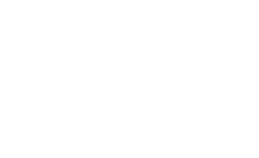 Ola logo